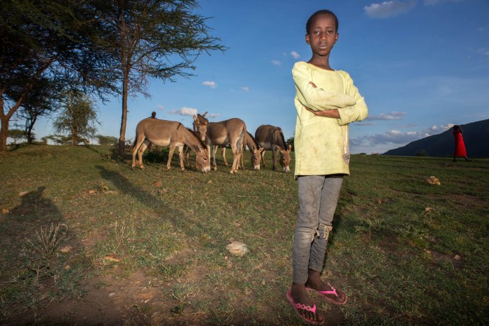 Lchekutis, los niños pastores masai